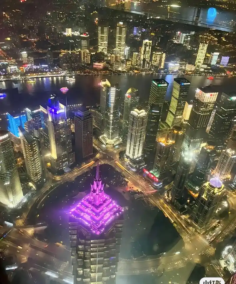 A view of Shanghai from the observation deck of the Oriental Pearl Radio & TV Tower, showcasing the Huangpu River and Pudong District