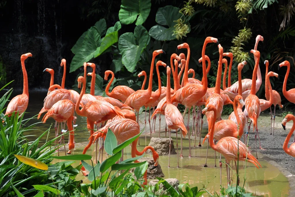 Hong Kong Botanical Gardens, a peaceful Hong Kong Island attraction near Mid-Levels